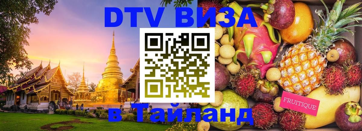 Оформление DTV визы под ключ: стоимость и тарифы, только загранпаспорт - 20.11.2025 